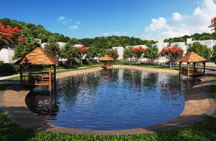 Native planting and rainwater harvesting at Kekarav