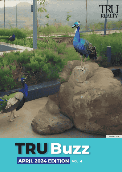 Cover of TRU Buzz volume 4, April 2024, showing peacocks at the Kekarav site